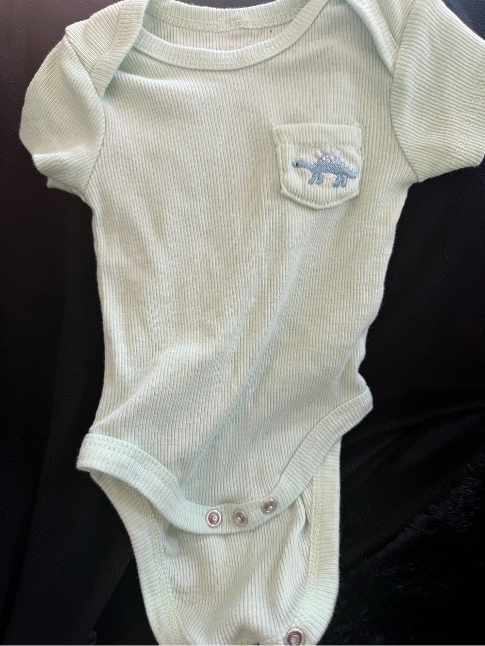 chick pea Ribbed Mint One-Piece Bodysuit with Dino Pocket